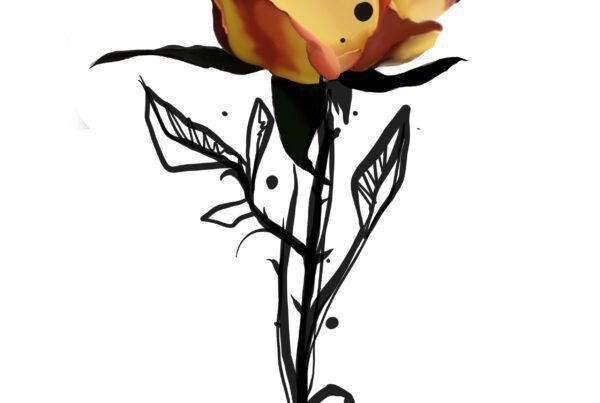 Roża projekt tatuażu Mateusz