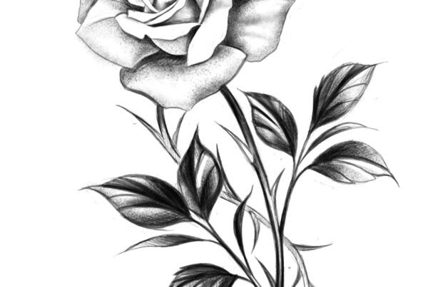 roza-lina-tatuaz-projekt-wodzislaw-slaski-rybnik-zory-jastrzebie-pszow-radlin-racibor