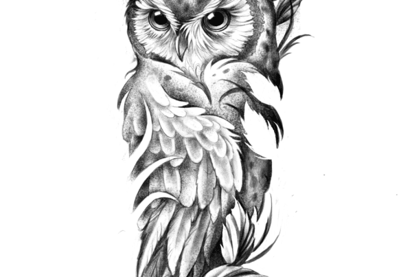 sowa-lina-tatuaż-projekt-wodzisław-śląski-rybnik-żory-jastrzębie-pszów-radlin